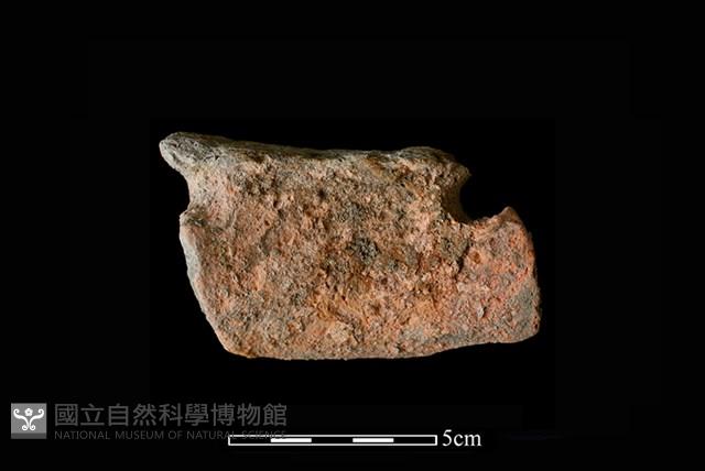 陶片藏品圖，第2張