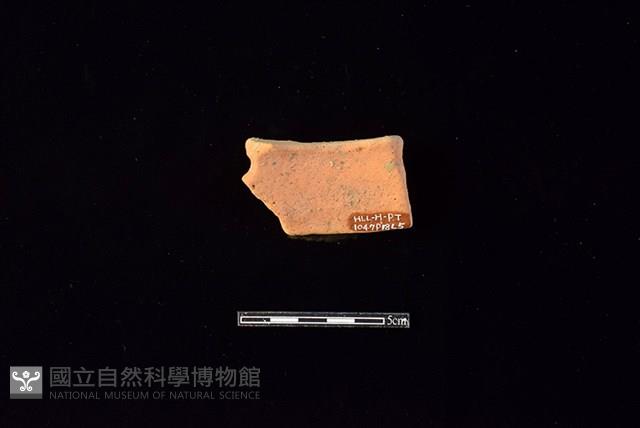 陶片藏品圖，第2張