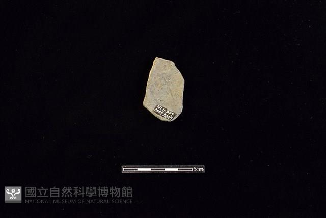 陶片藏品圖，第2張