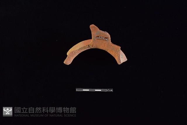 陶罐藏品圖，第2張