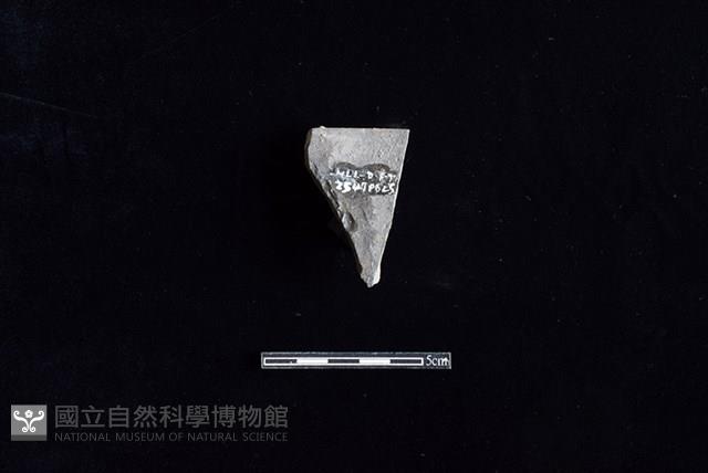 陶罐藏品圖，第2張