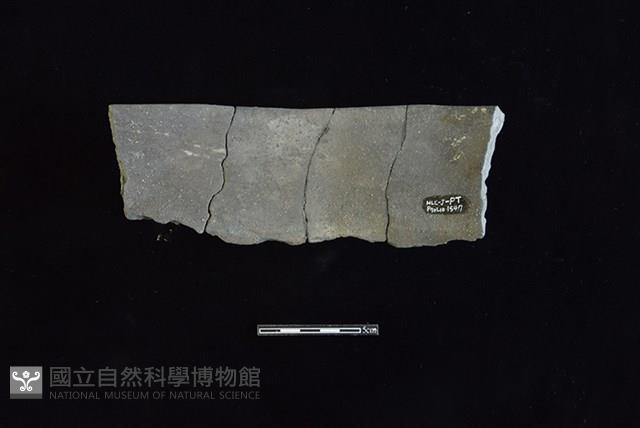 陶罐藏品圖，第2張