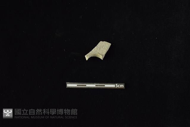 陶甑藏品圖，第2張