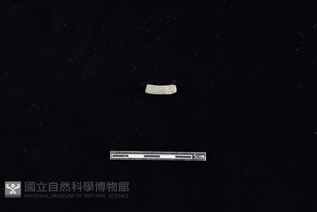 陶環藏品圖，第2張