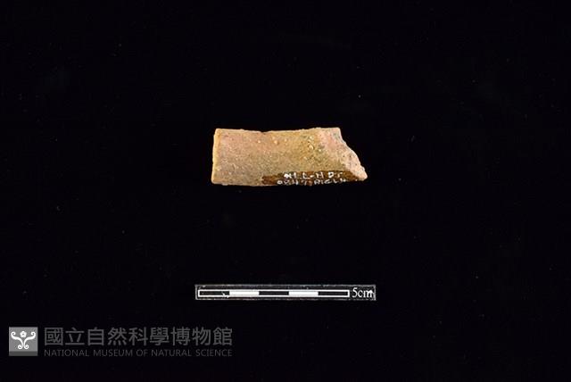 陶片藏品圖，第2張