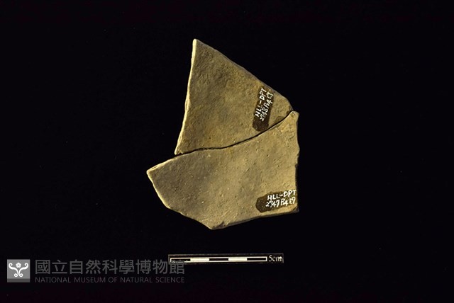 陶片藏品圖，第2張