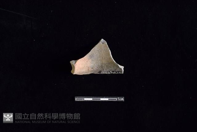 陶罐藏品圖，第2張