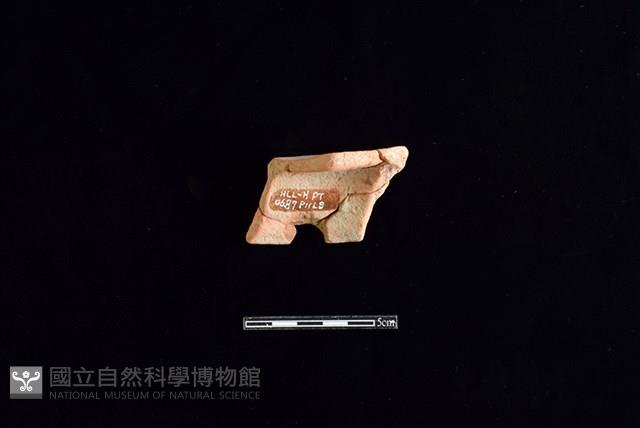 陶片藏品圖，第2張