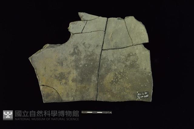 陶片藏品圖，第2張