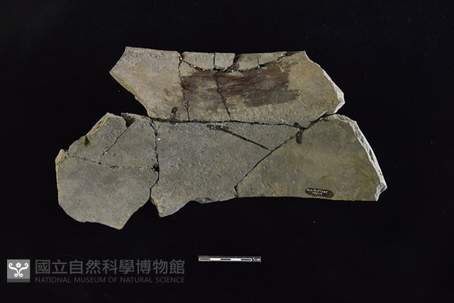 陶罐藏品圖，第2張
