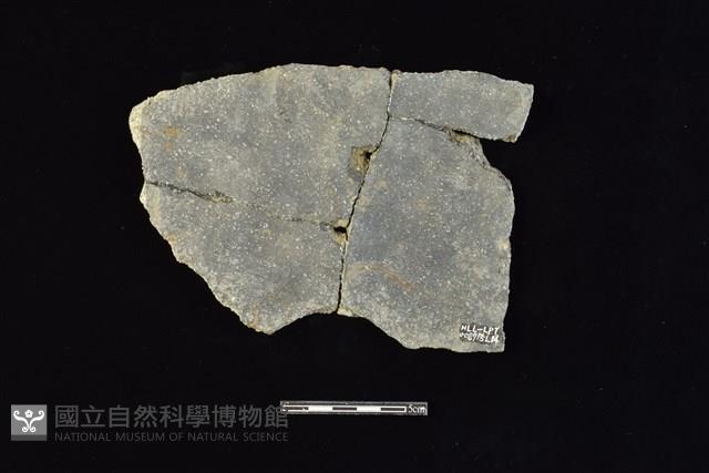 陶片藏品圖，第2張