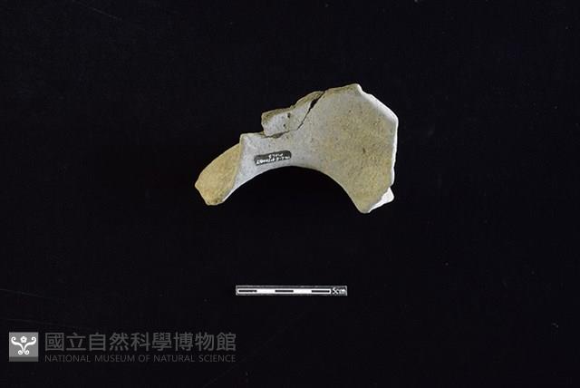 陶罐藏品圖，第2張