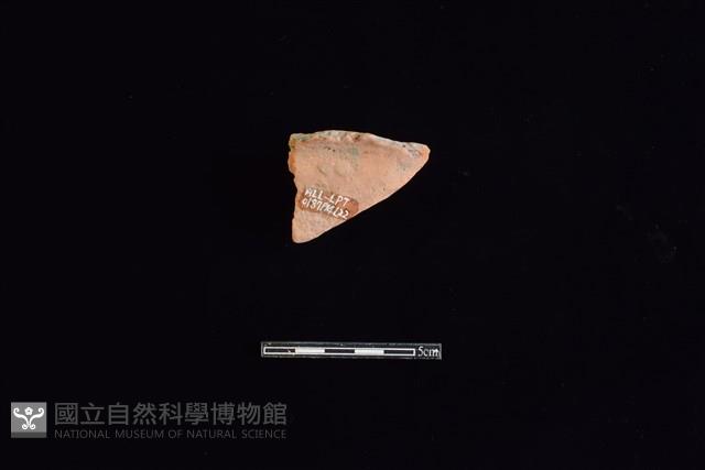 Accession Number:HLL-L-PT0187 Collection Image, Figure 2, Total 2 Figures