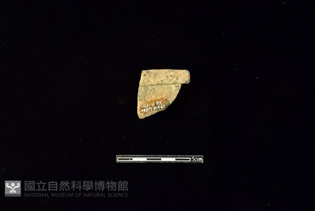 陶片藏品圖，第2張