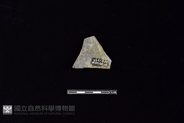 陶片藏品圖，第2張