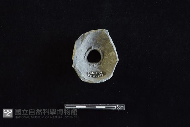 Accession Number:HLL-J PT1587 Collection Image, Figure 2, Total 2 Figures