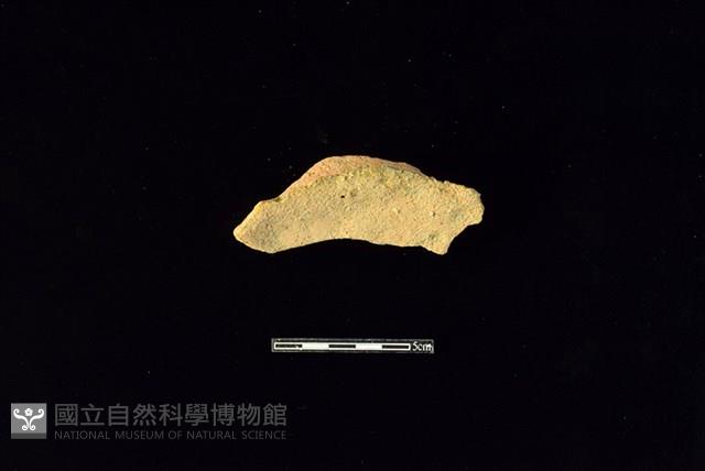 陶片藏品圖，第2張