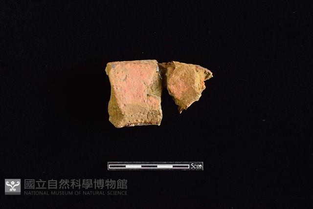 Accession Number:HLL-J PT1487 Collection Image, Figure 2, Total 2 Figures