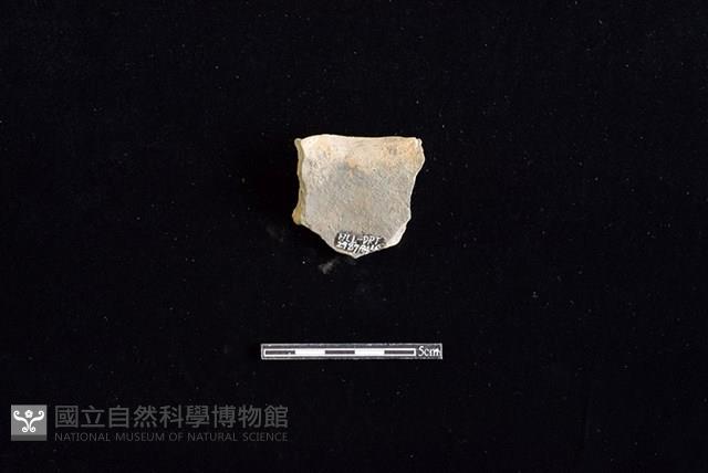 陶罐藏品圖，第2張