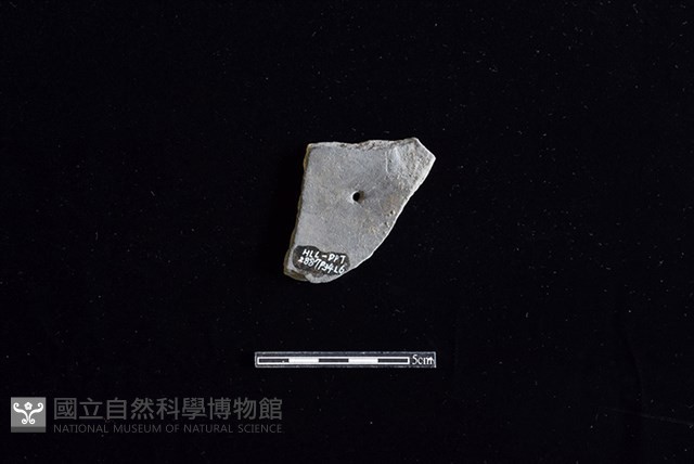 陶片藏品圖，第2張