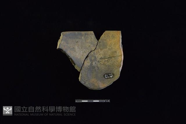 陶盆藏品圖，第2張