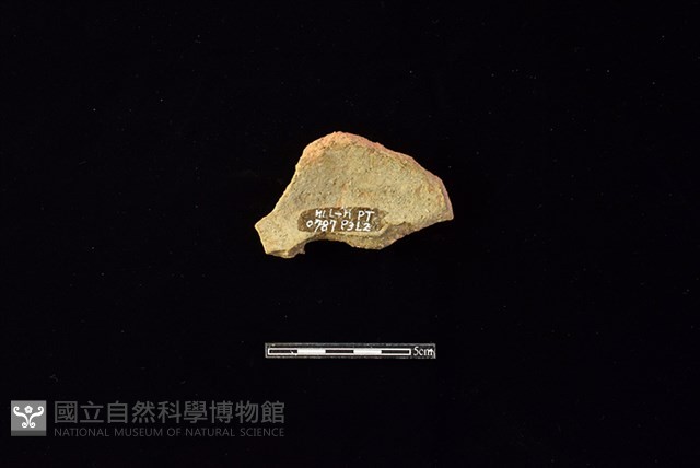 陶片藏品圖，第2張
