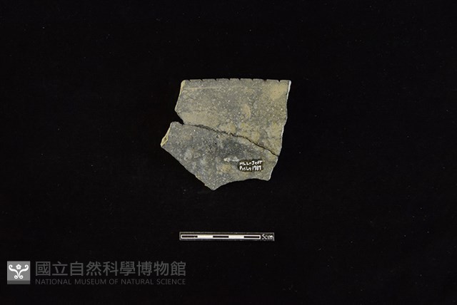 陶罐藏品圖，第2張