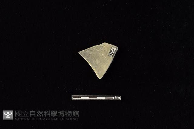 陶片藏品圖，第2張