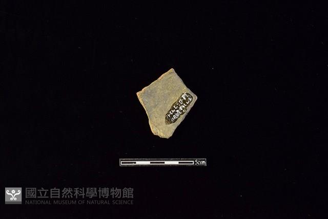 陶片藏品圖，第2張