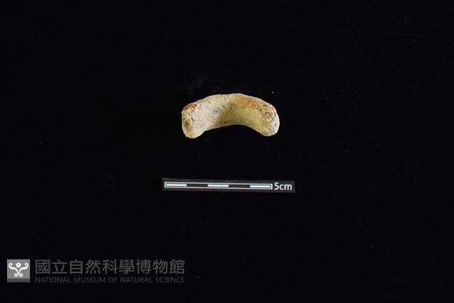 陶把藏品圖，第2張