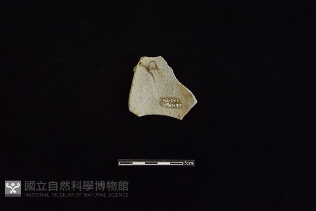 陶罐藏品圖，第2張