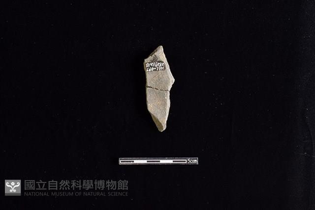 陶片藏品圖，第2張