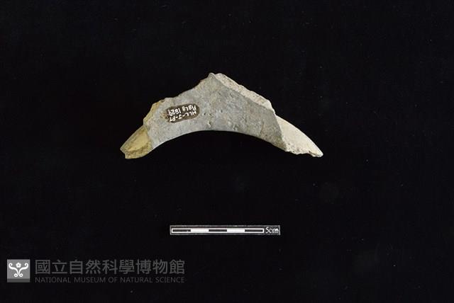 陶罐藏品圖，第2張