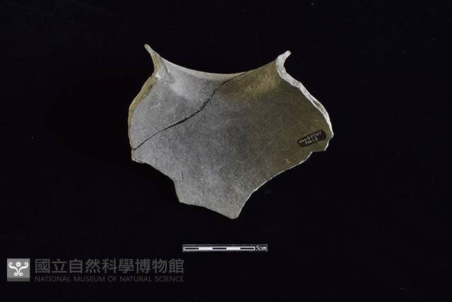 陶罐藏品圖，第2張