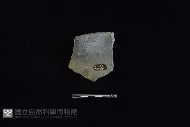 陶罐藏品圖，第2張