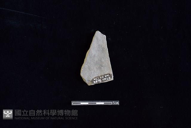 陶片藏品圖，第2張