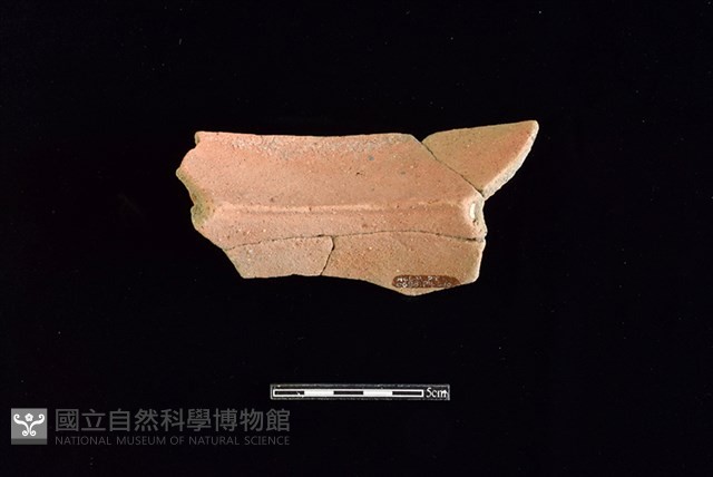 陶罐藏品圖，第2張