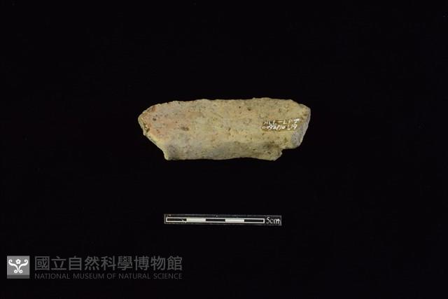 陶罐藏品圖，第2張