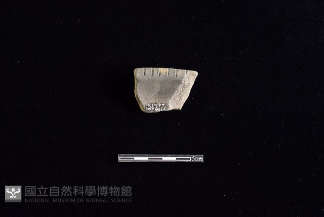 陶片藏品圖，第2張