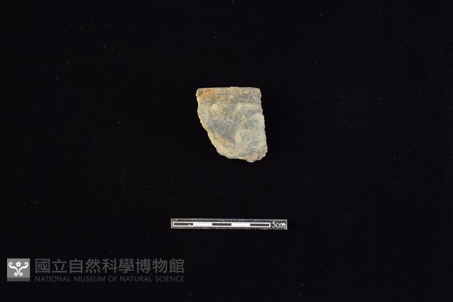陶罐藏品圖，第2張