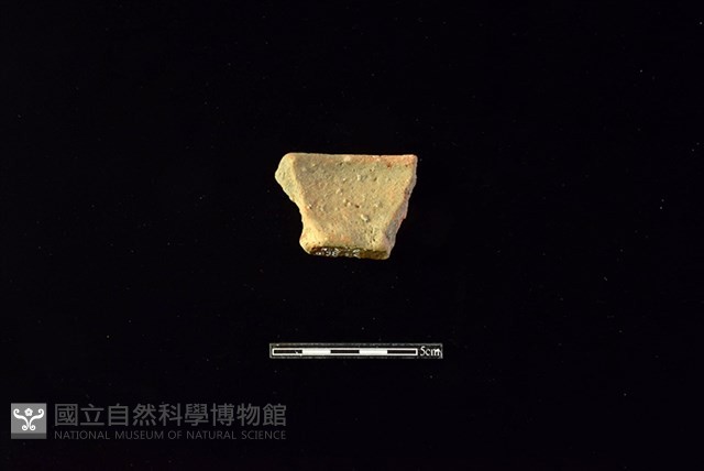 陶罐藏品圖，第2張