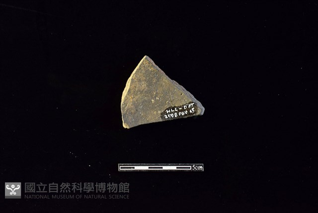 陶片藏品圖，第2張