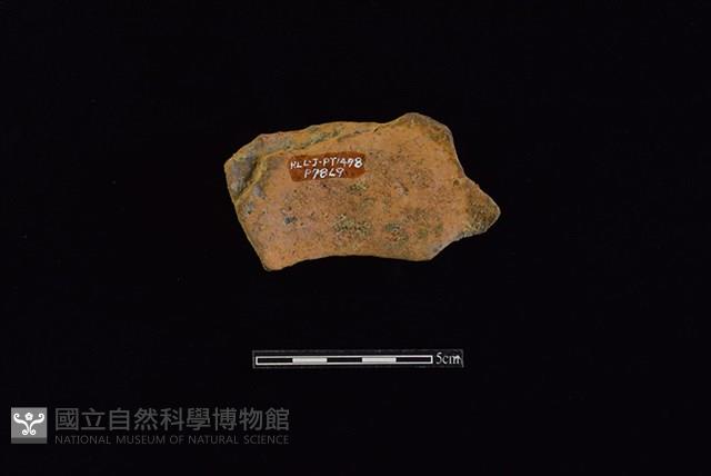 陶片藏品圖，第2張