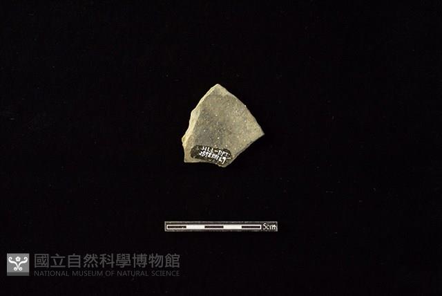 陶片藏品圖，第2張