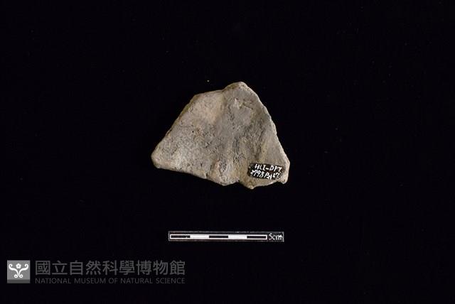 陶片藏品圖，第2張