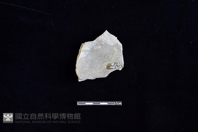 陶片藏品圖，第2張