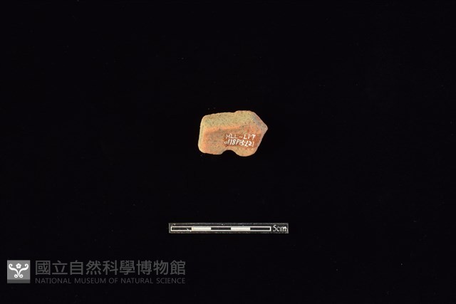 陶片藏品圖，第2張