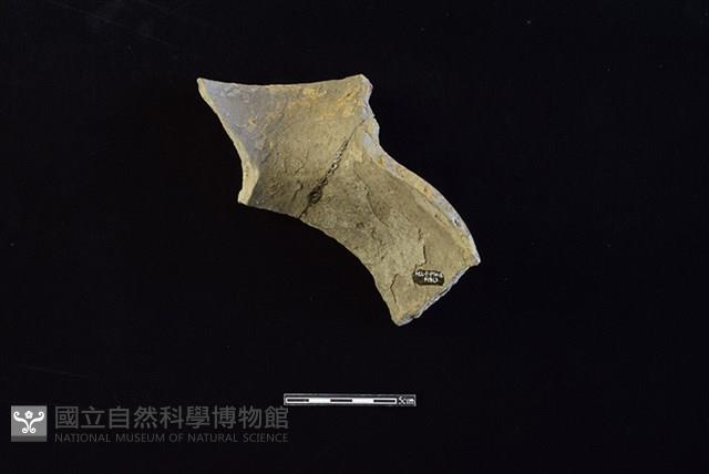 陶罐藏品圖，第2張