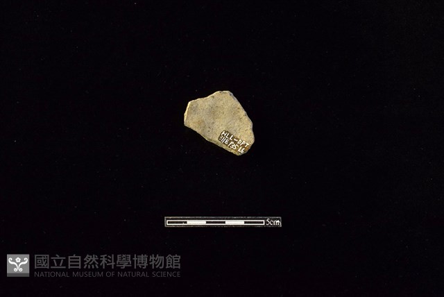 陶片藏品圖，第2張