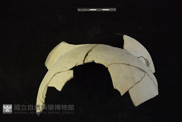 陶罐藏品圖，第2張